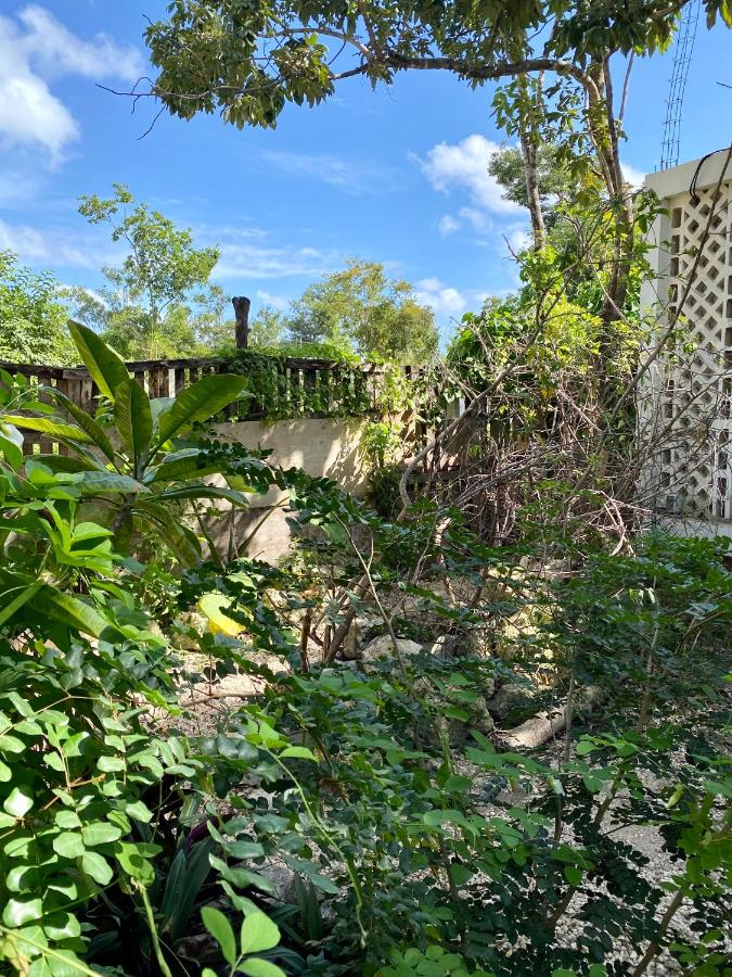 Casa Kuma - Chambres d’hôtes Tulum