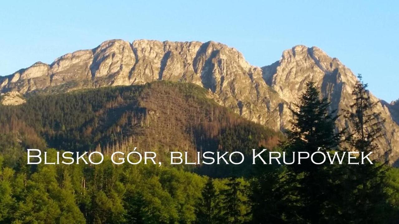 Willa Otulina pod Giewontem - Ferienwohnung Zakopane