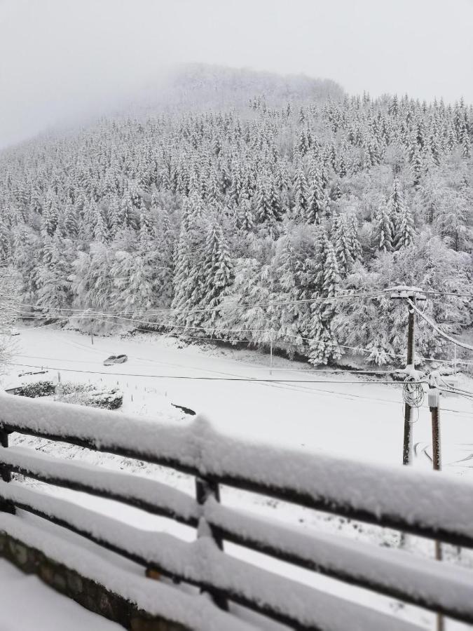 Vila Aurora Kopaonik, 50m od Gondole - Ferienwohnung