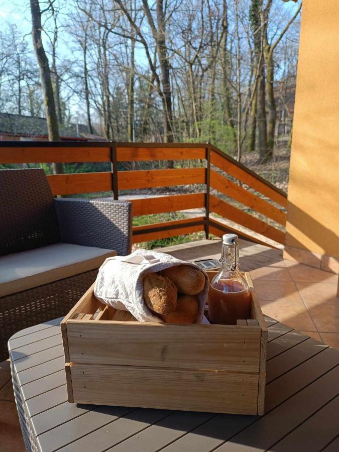 e-Pagony Dunakanyar- Privát erdei szállás - B&B