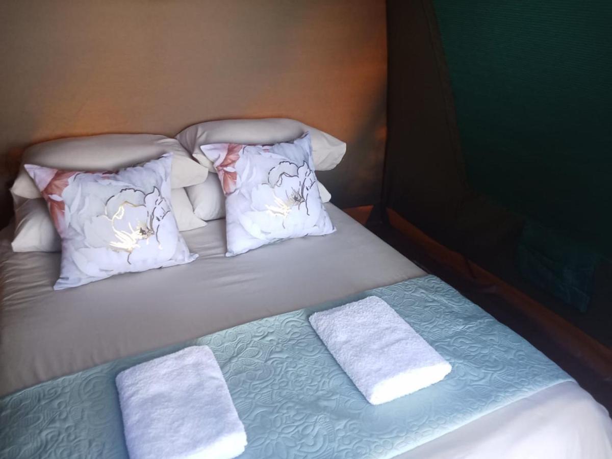 Dome Tent - Bed and Breakfast