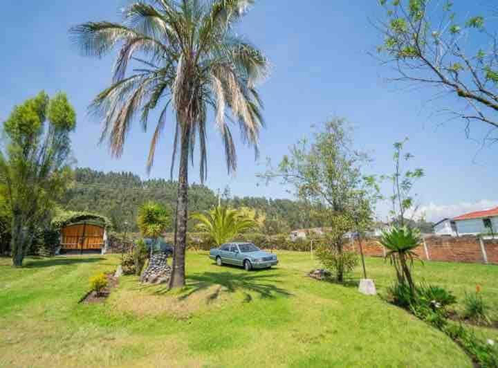 Naturaleza Pura - B&B Sangolquí