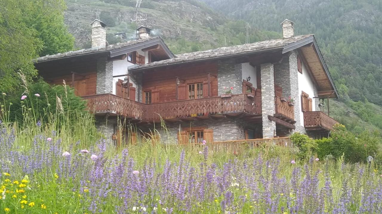GUEST HOUSE SOPHIE - Chambres d'Hotes -CIR 0196 - B&B