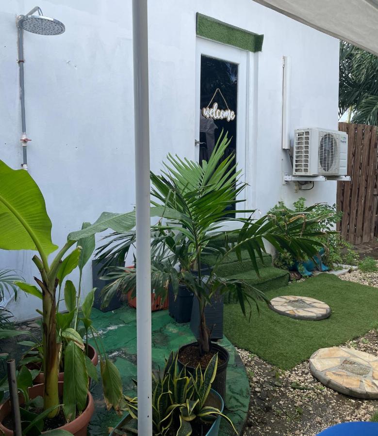 TL Apartment - B&B