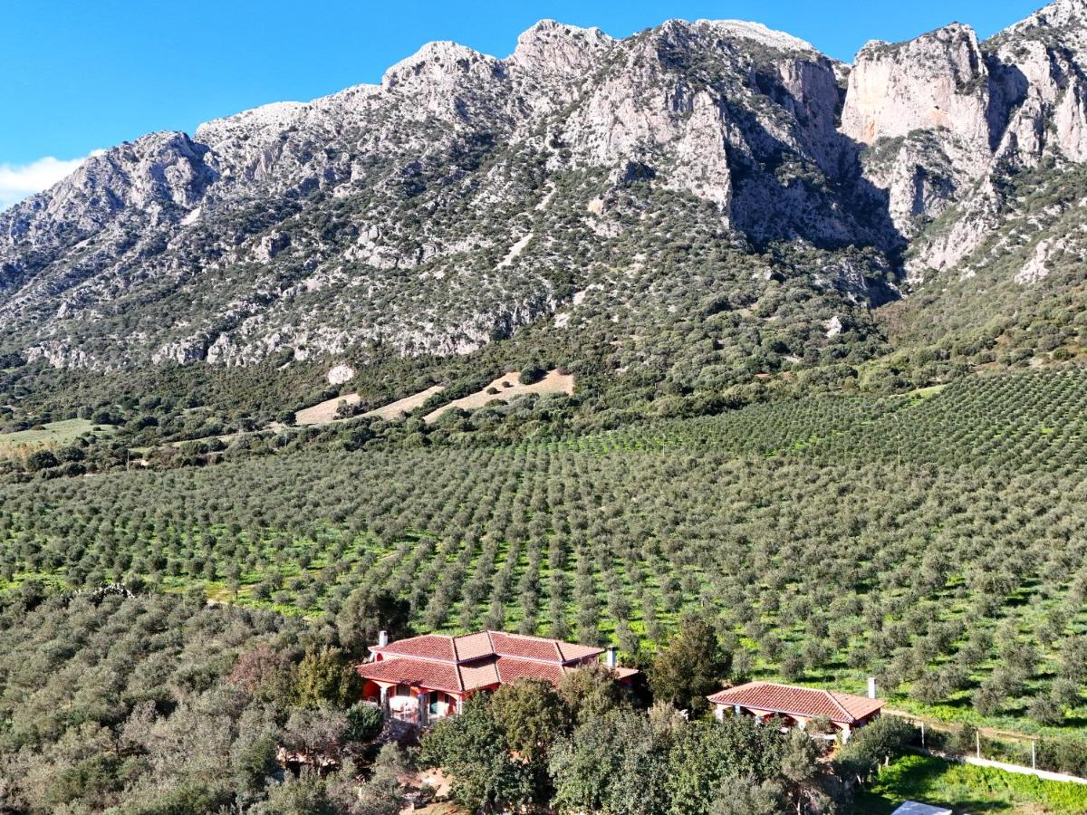 Villa with stunning views to the mountains 5km from the beach - B&B