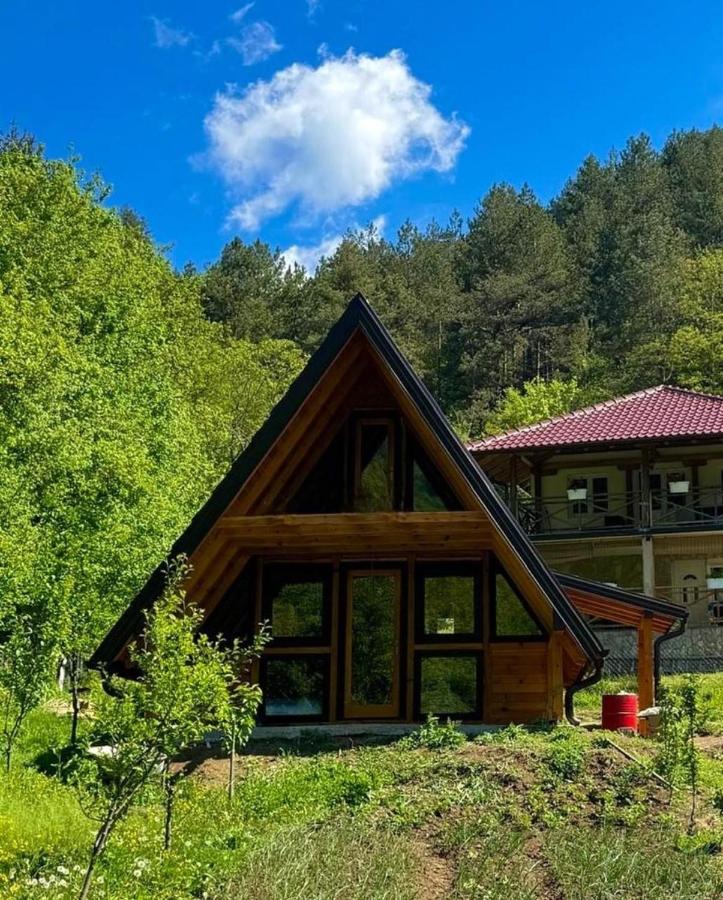 Kamp Simović - Stari Brod - Chambres d’hôtes
