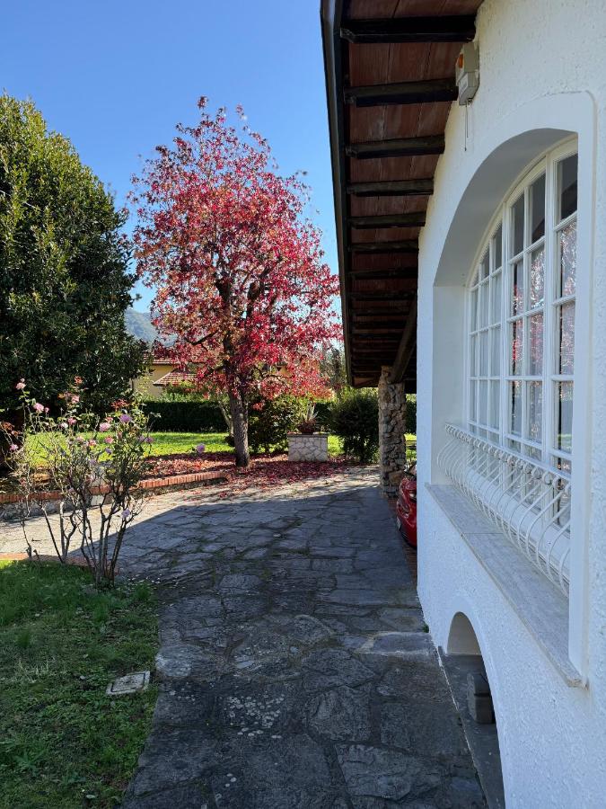 Villa Dolce Vita - Luxury - B&B