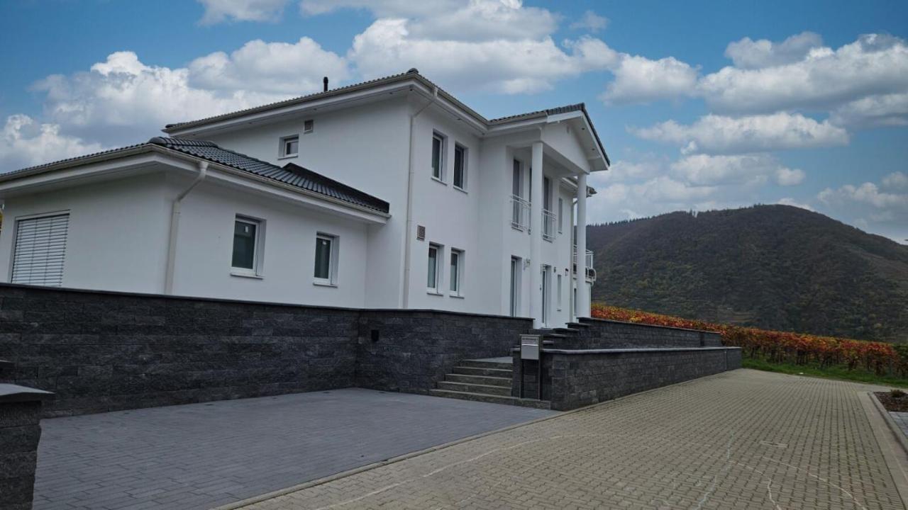 5 STERNE LUXUS VILLA KLIMATISIERT DACHTERRASSE MIT ATEMBERAUBENDER AUSSICHT ooooo - Chambres d'hôtes Ellenz-Poltersdorf