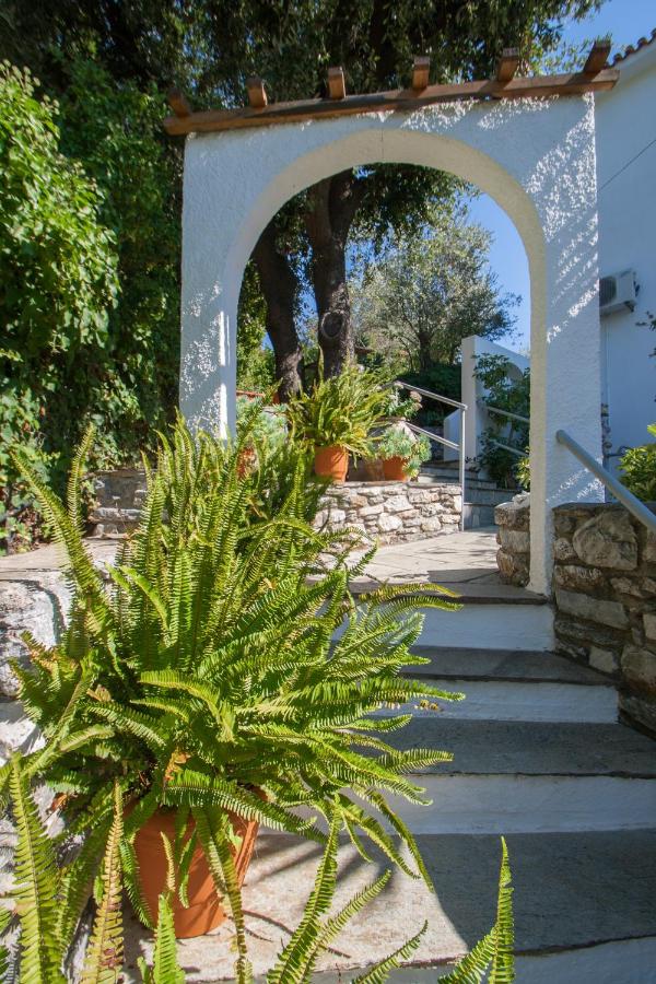Angela studios - B&B Troulos