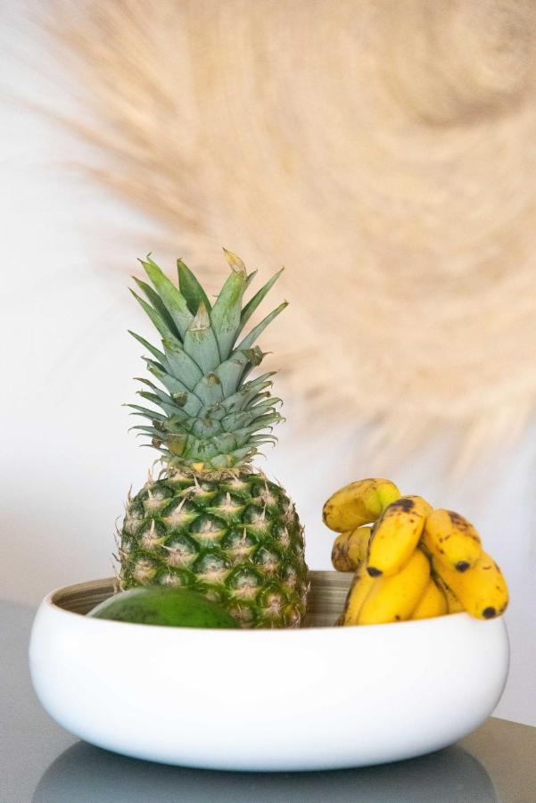 Ti Laouen, un appartement spacieux proche de la plage - B&B Le Diamant