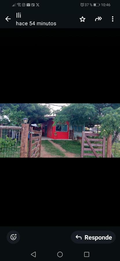 Lapacho - B&B