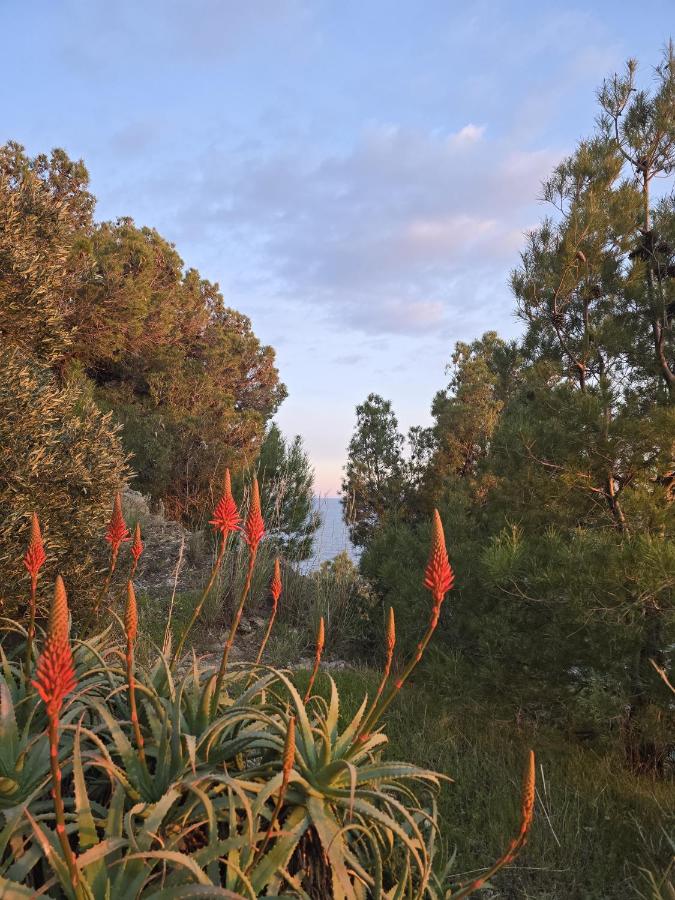 Casa Jurmala - B&B Sanremo