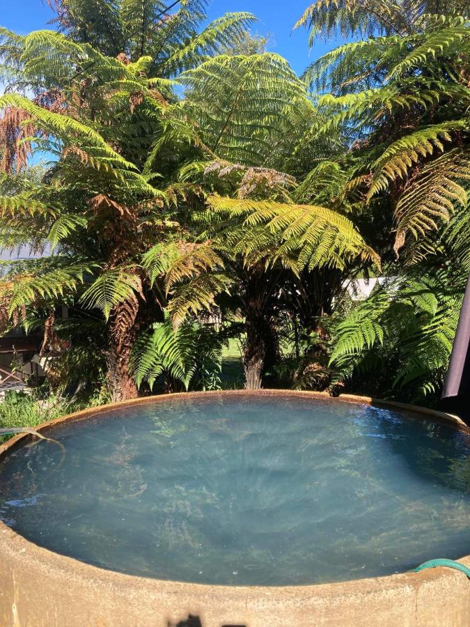 Cottage and geothermal pool by lake Taupo - B&B