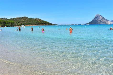 L'oasi di Simone e Rossella - B&B Monte Petrosu