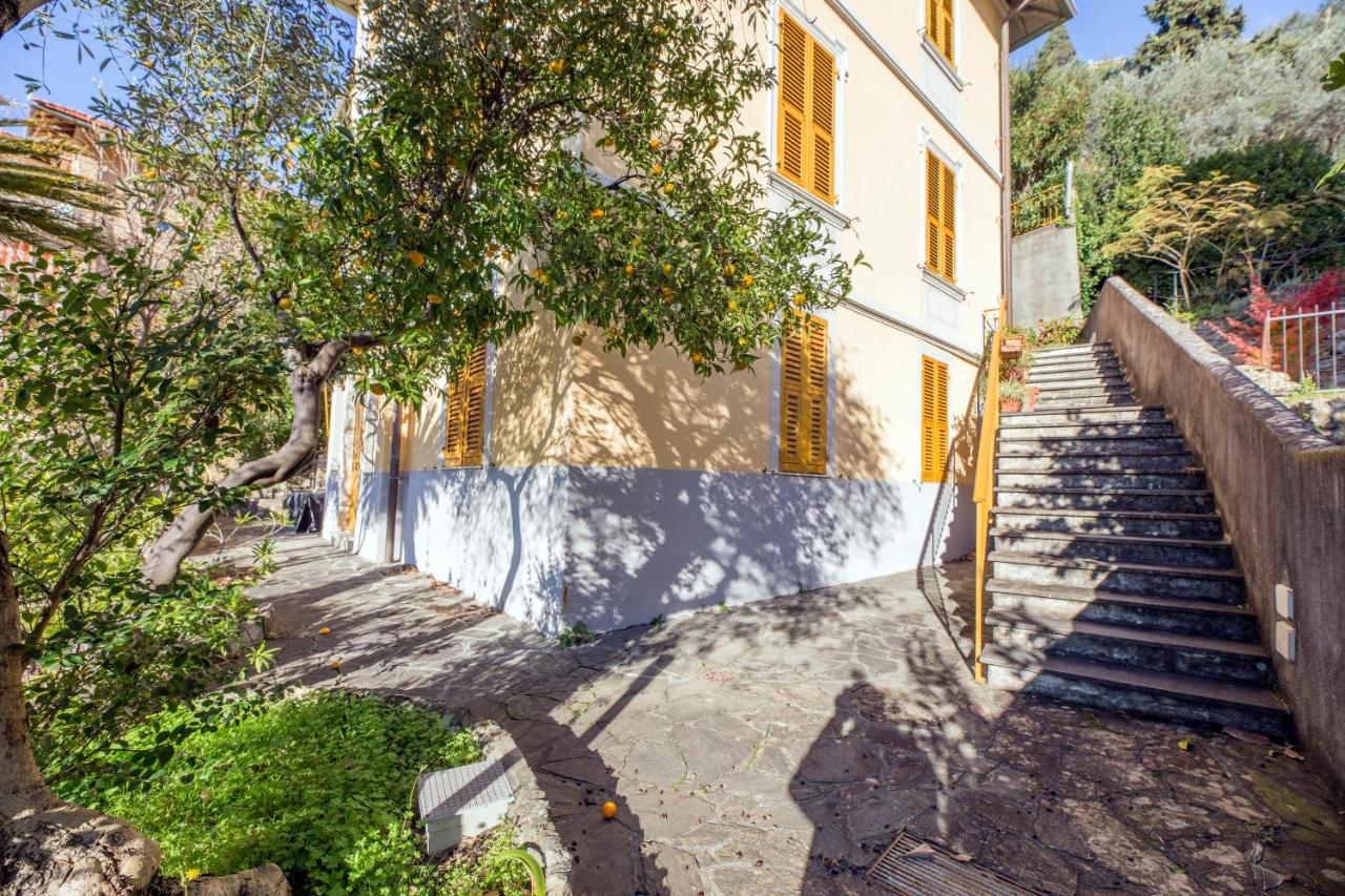 CasaViva - Bright SeaView Apt with Parking in Camogli - Bed and Breakfast Camogli