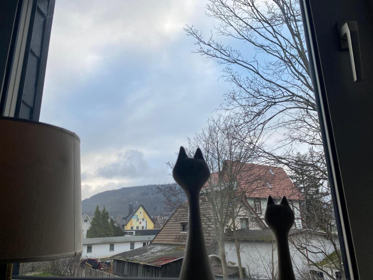 Ferienwohnung Harzgebirge - Ferienwohnung