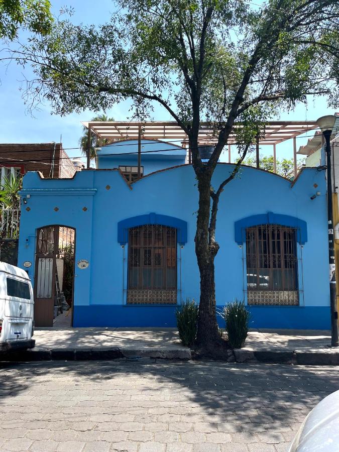 Artisanal Loft Coyoacan - B&B