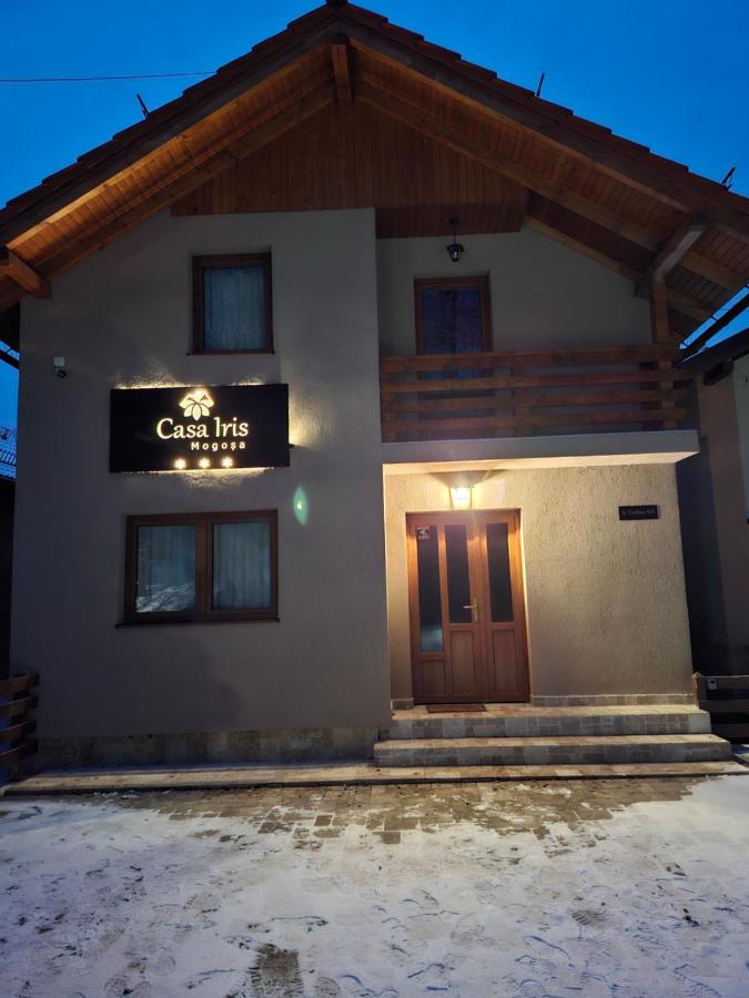 Casa Iris Mogoșa - B&B