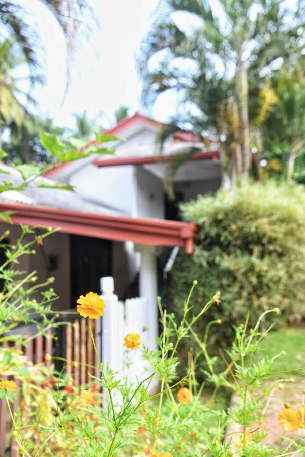 Bliss Inn - B&B
