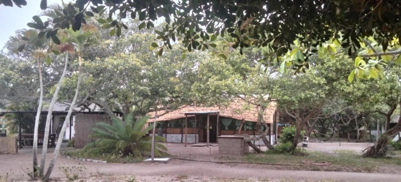 Family Studio
