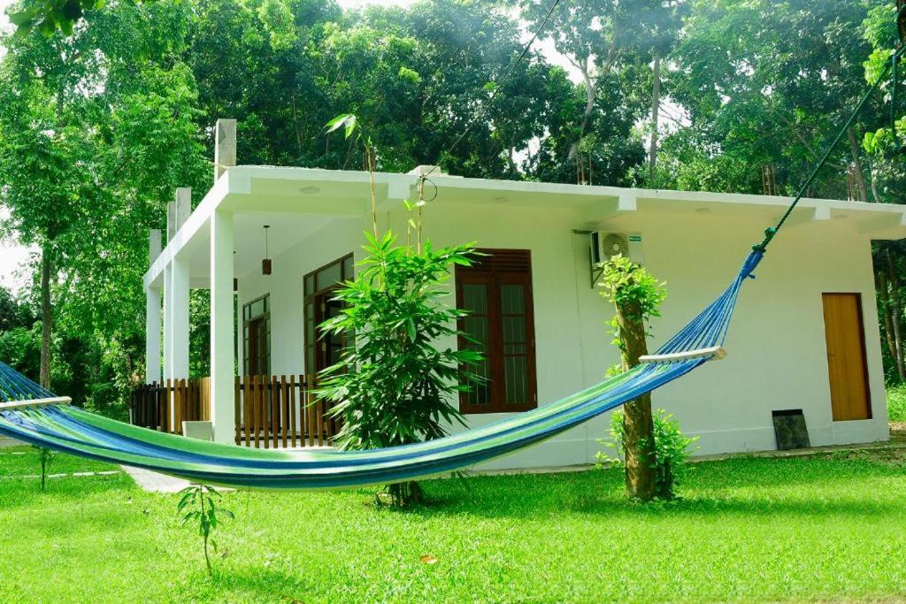 Sun & bliss Talalla - B&B
