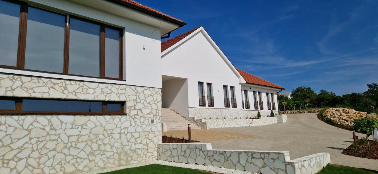 Villa Zéta Wine & Spa - B&B Mád