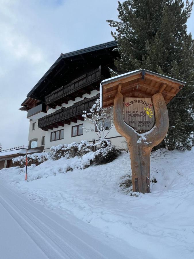 Hornergut - Ferienwohnung Altenmarkt im Pongau