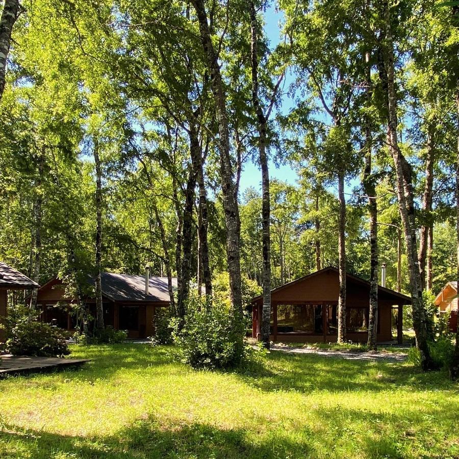 Cabañas en Pucón - Ferienwohnung