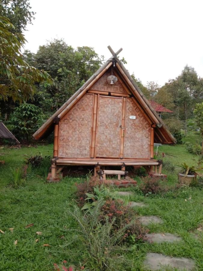 Camera Budget Matrimoniale/Doppia con Letti Singoli