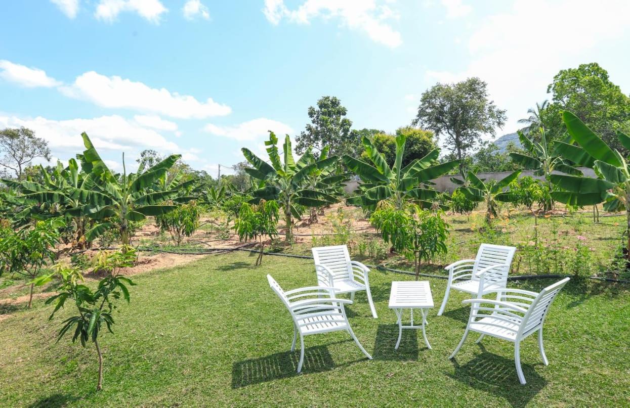Mango Garden Dambulla - Ferienwohnung