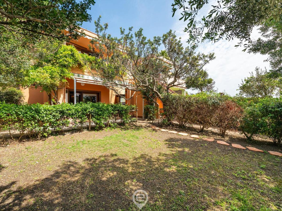 Pinus Blissful Breeze - B&B