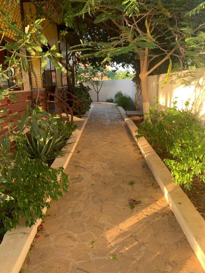 Tropikal House Facing Ocean - Bed and Breakfast