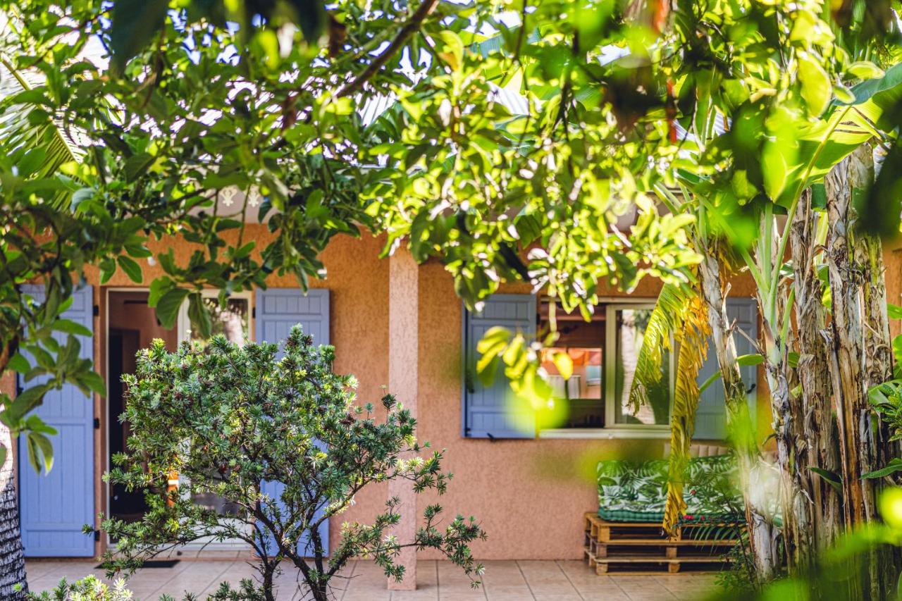 L'Oasis Saint Pierroise et son Jacuzzi - B&B