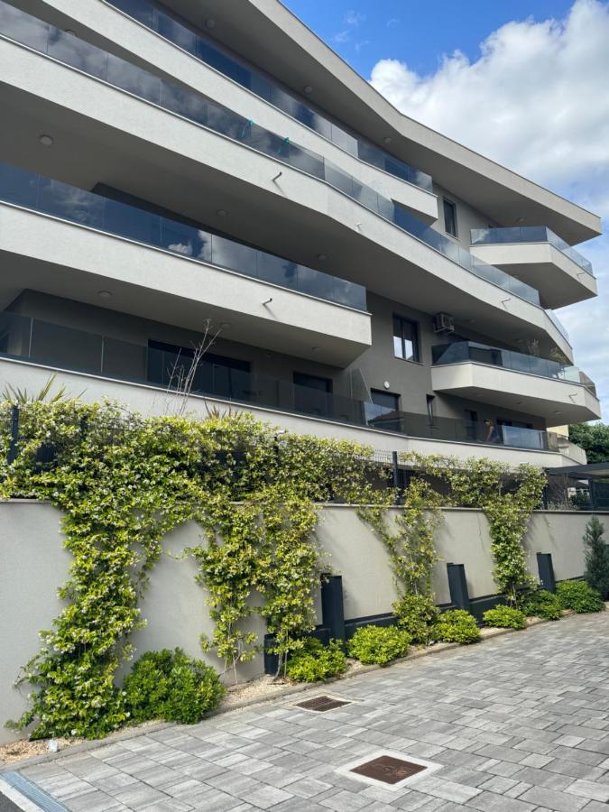 Divina V 150 meters from the beach - B&B Pola