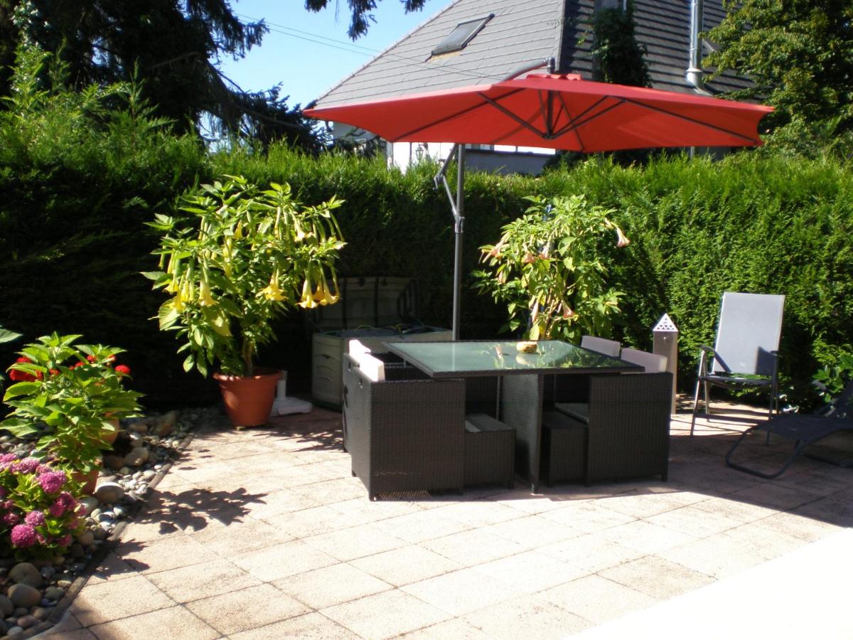 Les BRUGMANSIAS - B&B Biesheim