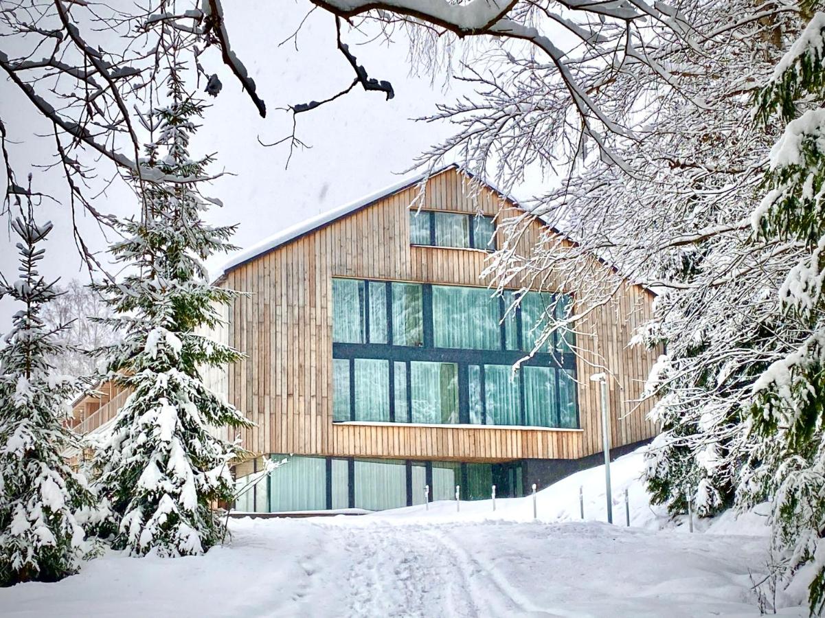 Rezidence ALPINA apartmán 27 - Chambres d’hôtes Špindlerův Mlýn