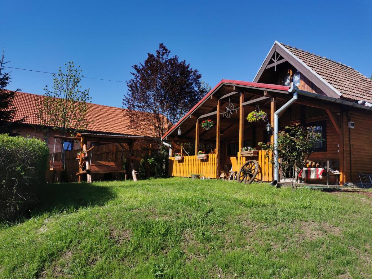 Casuta cu Brazi - B&B