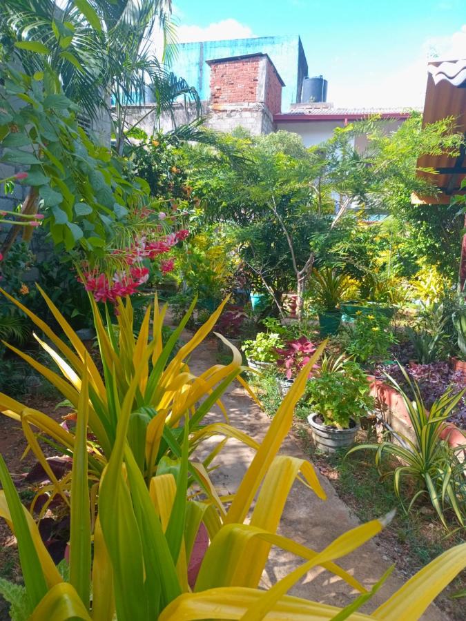 Tweepersoonskamer met 1 of 2 Bedden en Uitzicht op de Tuin