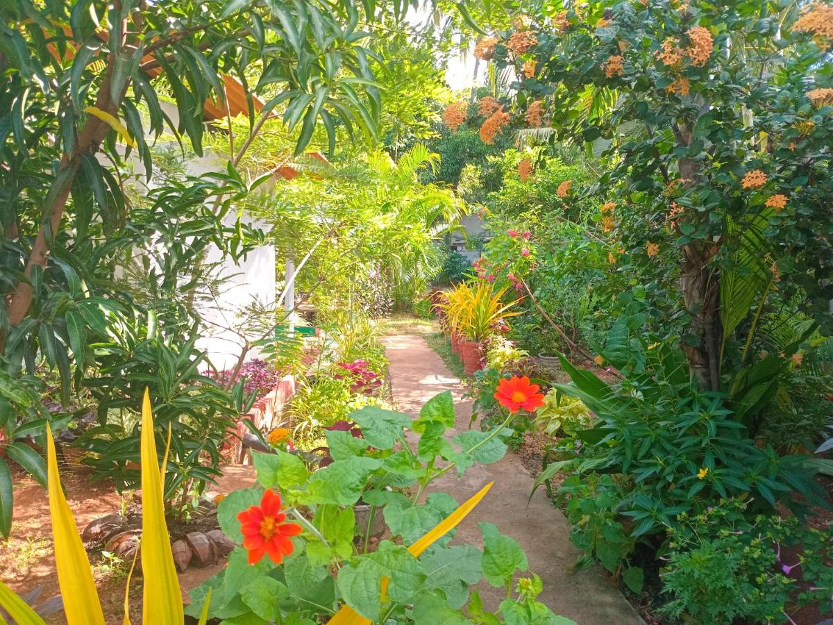 Cama individual en habitación compartida