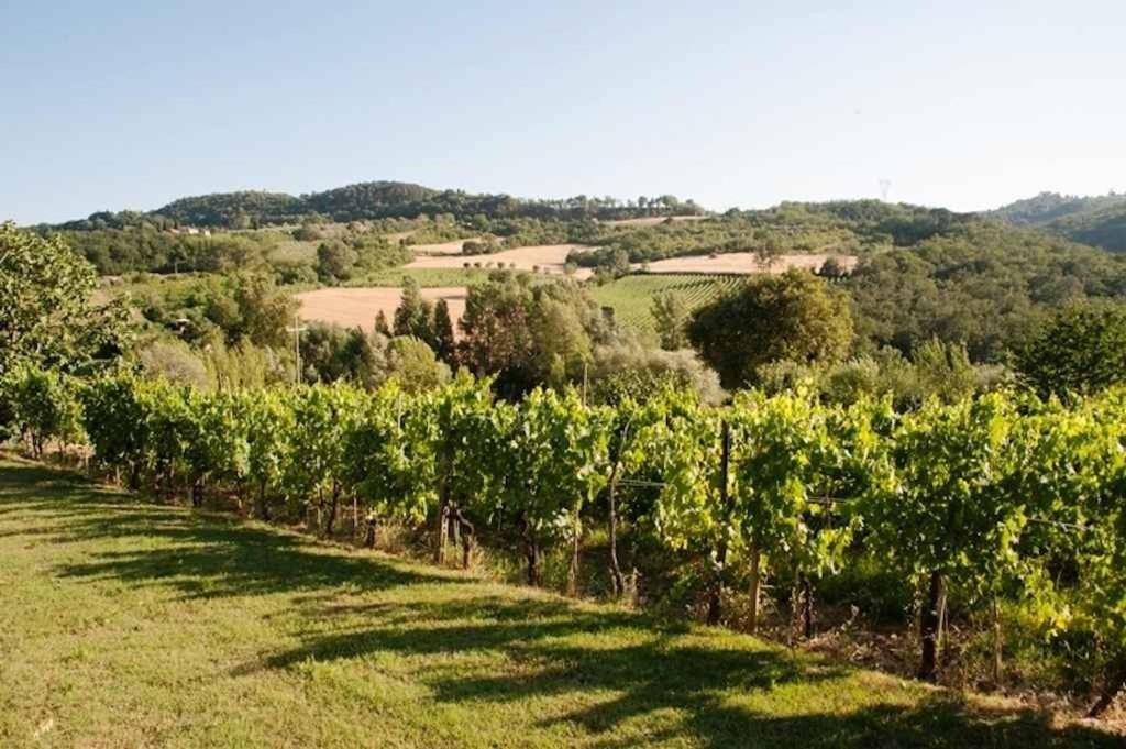 Maison de Vacances