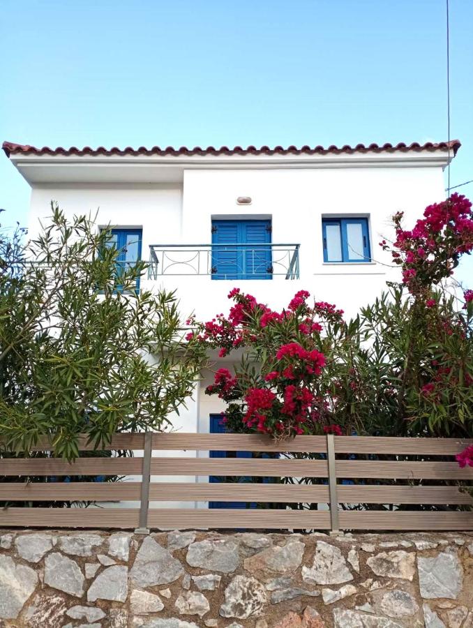 Villa Dragonfly - B&B