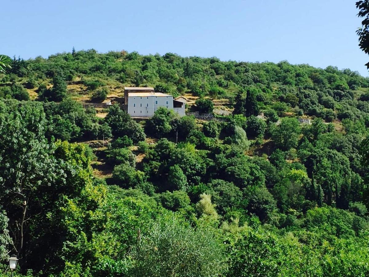 Mas de Campelle - B&B