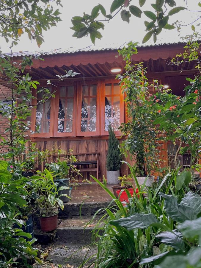 Triple Room with Garden View