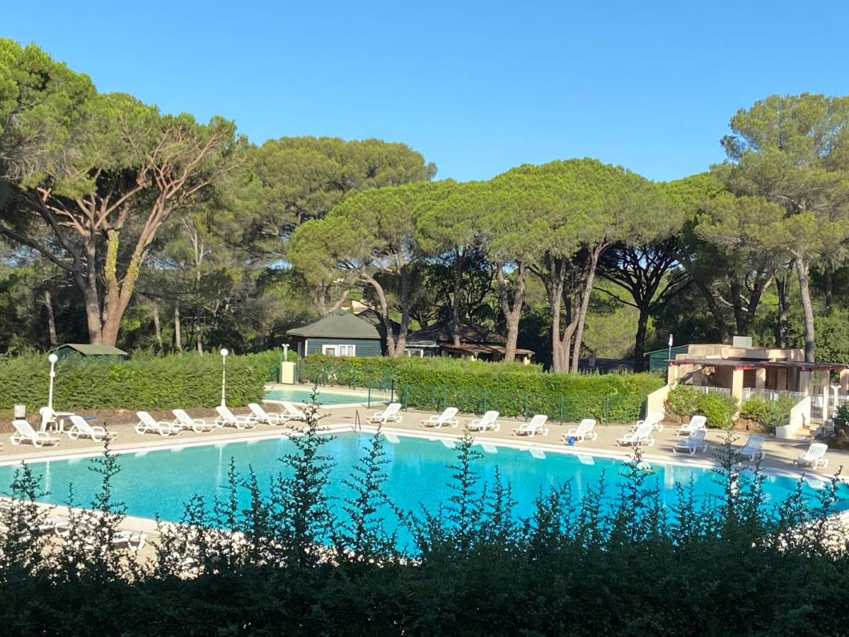 Appartement cote pinede 1 chambre - Chambres d’hôtes Saint-Raphaël