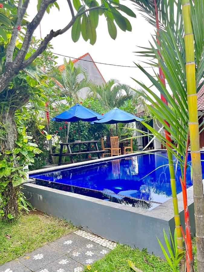 One-Bedroom Apartment - Non-Smoking