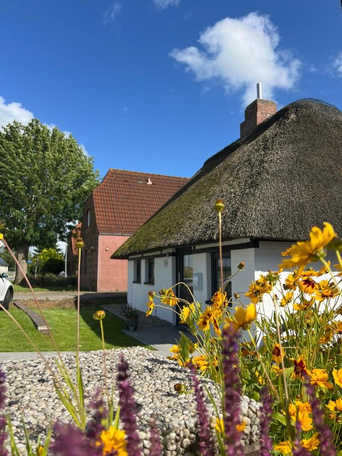 Gemütliches Reetdachhaus - B&B