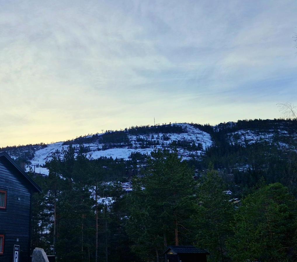 Vrådal Slopeside Apartment - B&B Vrådal