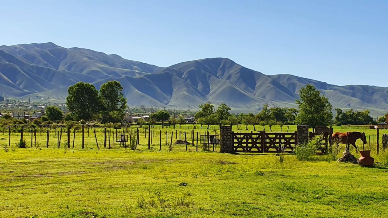 Cabañas Viditay Urqupa Waytacha - B&B Tafí del Valle