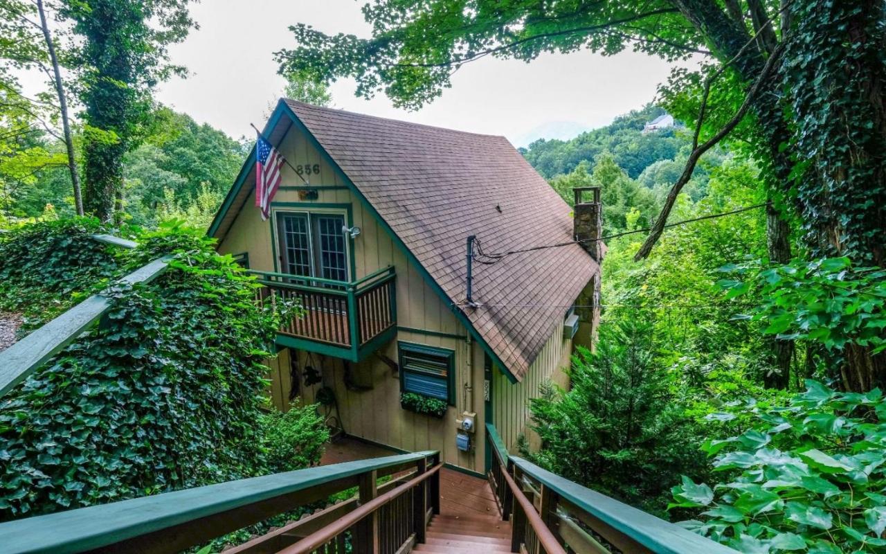 Cozy Bear 856 - Chambres d’hôtes Gatlinburg