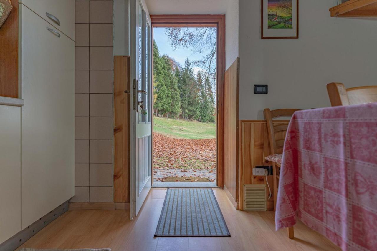 Apartment - Erdgeschoss